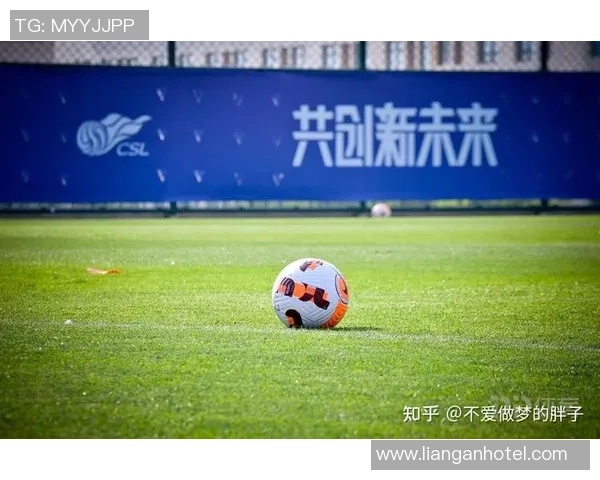 足球小区的魅力与活力探索社区足球文化的深厚底蕴与发展潜力